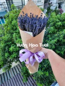 Bó Hoa Lavender Khô