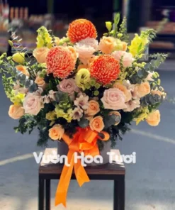 Lãng Hoa Mẫu Đơn Cam phối Cát tường