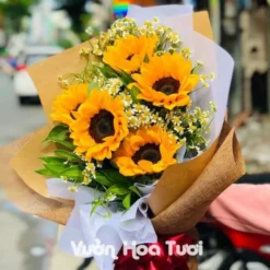 Bó hoa hướng dương đại biểu