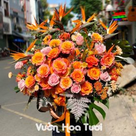 Lẵng Hoa Chúc Mừng Hồng Cam Spirit Thiên Điểu