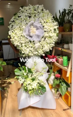 Kệ Hoa Chia Buồn <br> Lan Trắng-HCB07