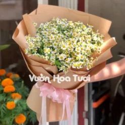 Bó Hoa Cúc Tana Tươi Đẹp