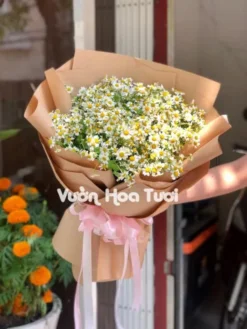 Bó Hoa Cúc Tana Tươi Đẹp