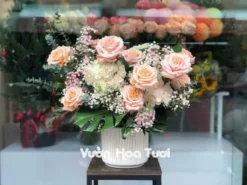 Lang hoa Hong Ecuador Shimmer