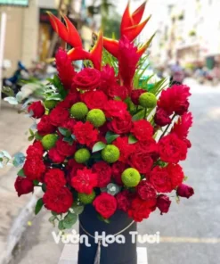 Lẵng Hoa Hồng Ohara Đỏ Ping Pong Xanh