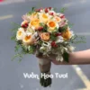 Bó Hoa Cưới Cầm Tay Hồng Juliet Say Mê Hoa Cưới Juliet
