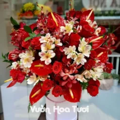 Lẵng Hoa Hồng Đỏ Môn Đỏ