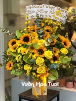 Lẵng Hoa Hướng Dương Hồng Vàng