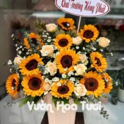 Lẵng Hoa Hướng Dương Hồng Trứng Chúc Mừng Khai Trương