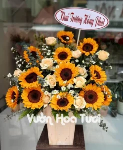 Lẵng Hoa Hướng Dương Hồng Trứng Chúc Mừng Khai Trương