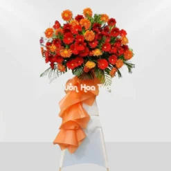 Kệ hoa đồng tiền khai trương