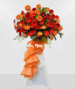 Kệ hoa đồng tiền khai trương