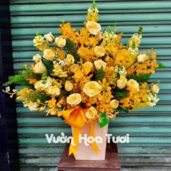 Lẵng hoa khai trương Hồng Vàng phối Lan Mokara