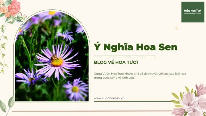 Ý Nghĩa Hoa Thạch Thảo Từ Văn Hóa Đến Tình Yêu hình ảnh nền ý nghĩa hoa thạch thảo
