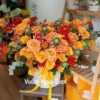 Lẵng hoa khai trương hồng Party <br> Sang Trọng Lẵng hoa hồng Cam Party