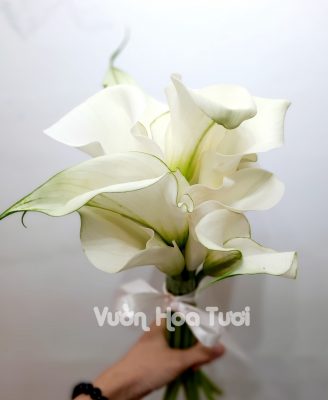Bó hoa cưới cầm tay cô dâu Rum Trắng (xếp tầng)-HCT03