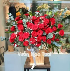 Lẵng hoa khai trương hồng đỏ điểm hoa bi