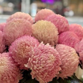 Gợi Ý 19+ Phiên Bản Bó Hoa Cúc Mẫu Đơn Đẹp img 3627