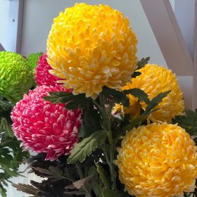 Gợi Ý Hoa Tặng Mẹ 8/3 đẹp và ý nghĩa img 8154