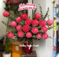 Lẵng hoa cúc mẫu đơn đỏ sang trọng