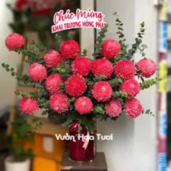 Lẵng hoa cúc mẫu đơn đỏ sang trọng