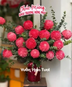 Lẵng hoa cúc mẫu đơn đỏ sang trọng