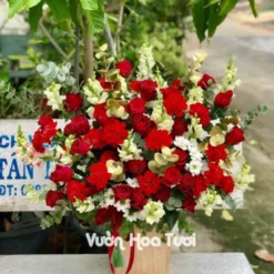 Lẵng hoa chúc mừng tông đỏ