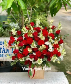 Lẵng hoa chúc mừng tông đỏ