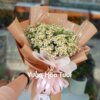 Bó hoa Cúc Tana Sinh Nhật