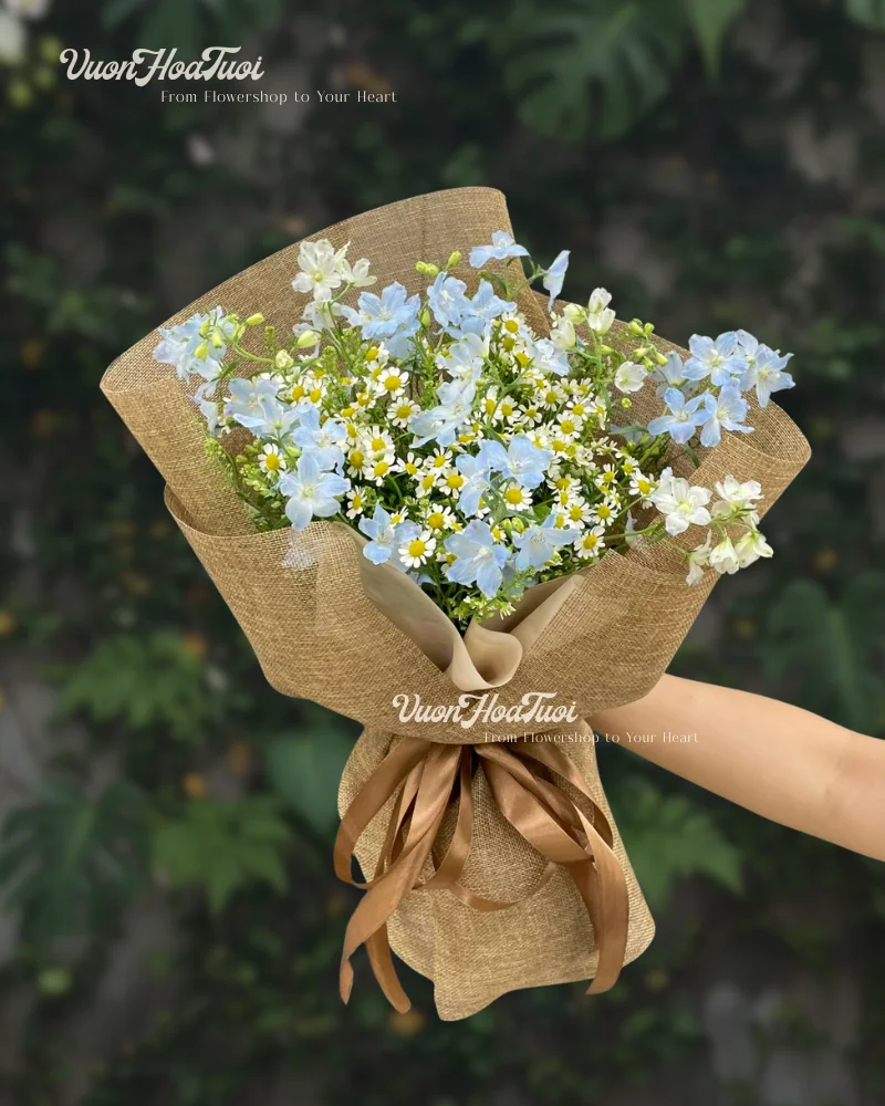 Del Tana Beauty Bó Hoa Cúc Tana Del Tana Beauty