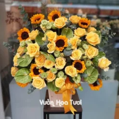 Lẵng hoa chúc mừng Hướng dương mix hồng vàng