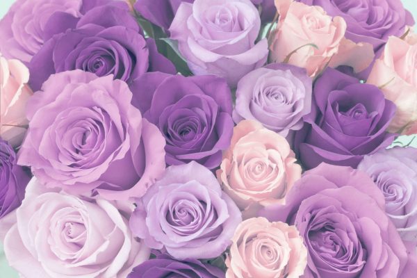 purple-rose-shade-meanings-blue-lavendar-deep-purple-600x400.jpg