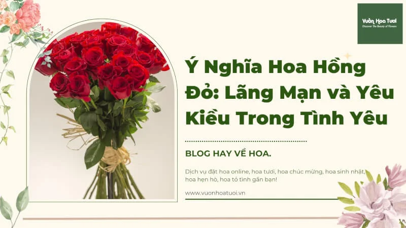 hình ảnh về ý nghĩa hoa hồng đỏ