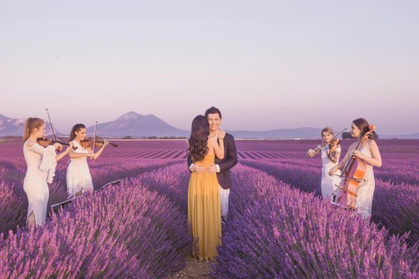 Sự Thật Thú vị về Ý Nghĩa Hoa Oải Hương (Lavender) 3 ý nghĩa hoa oải hương
