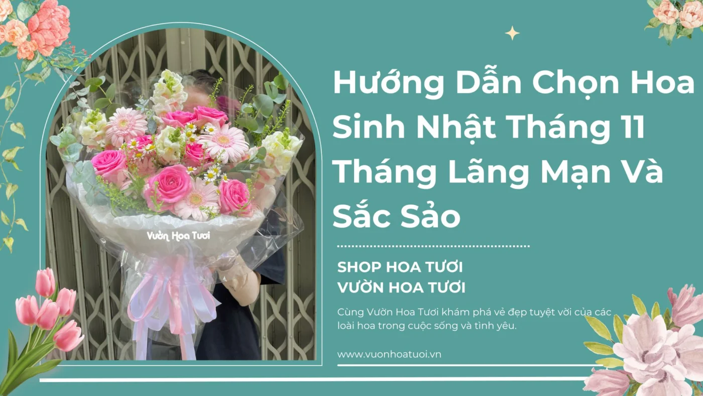 hoa sinh nhật tháng 11