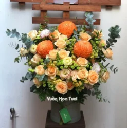 Lẵng Hoa Cúc Mẫu Đơn Cam Hồng Kem <br> Chúc Mừng Sự Kiện