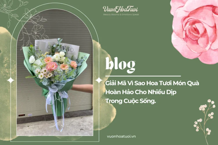 Giải Mã Vì Sao Hoa Tươi Món Quà Hoàn Hảo Cho Nhiều Dịp Giải Mã Vì Sao Hoa Tươi Món Quà Hoàn Hảo Cho Nhiều Dịp