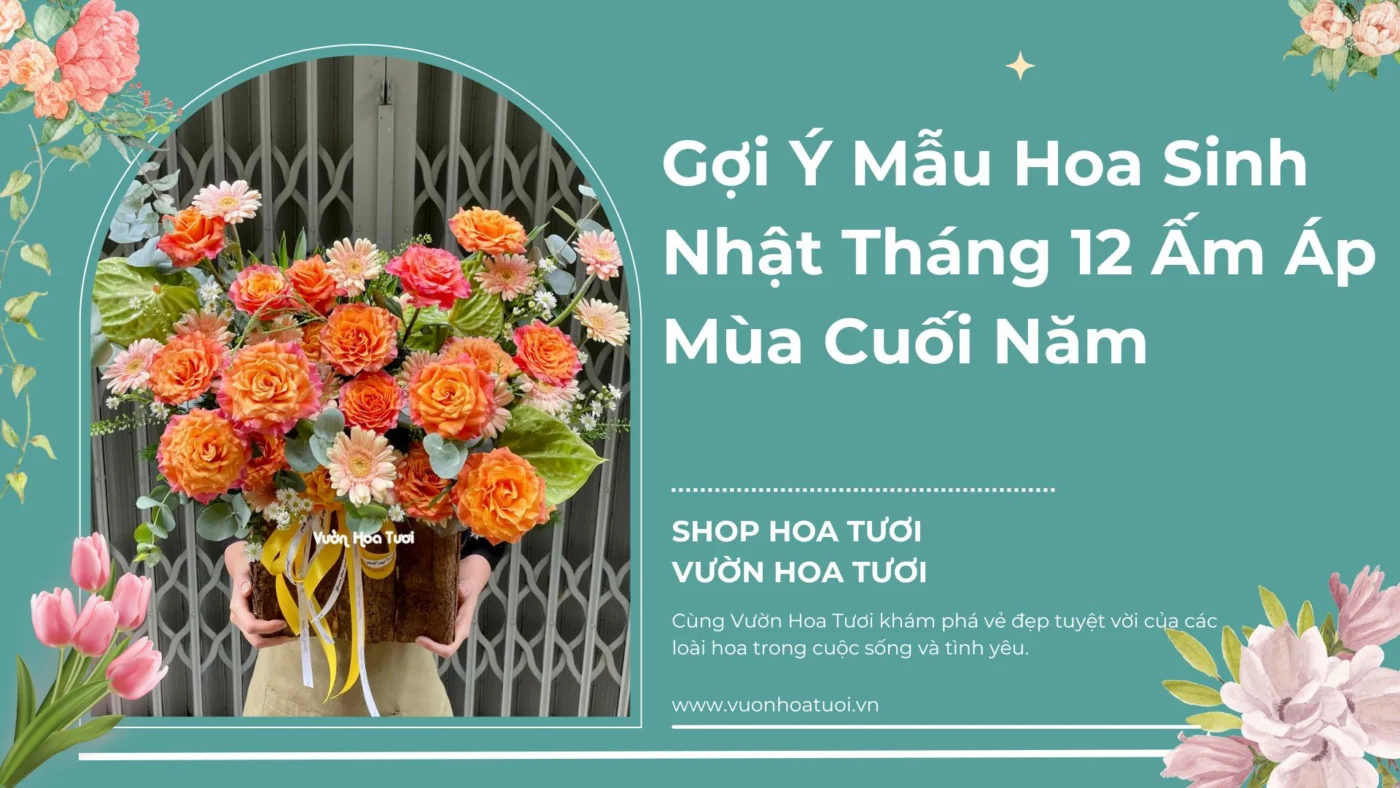 Gợi Ý Mẫu Hoa Sinh Nhật Tháng 12 Ấm Áp Mùa Cuối Năm