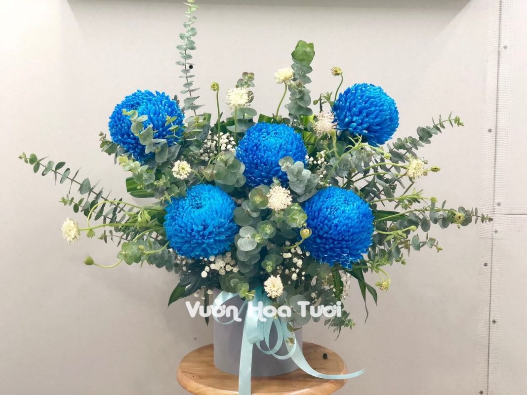 Hộp Hoa Cúc Mẫu Đơn Xanh Dương