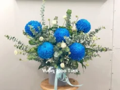 Hộp Hoa Cúc Mẫu Đơn Xanh Dương