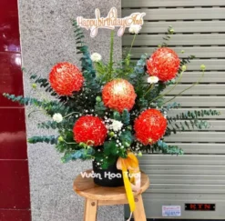 Hộp hoa Cúc mẫu đơn Cam Sinh Nhật