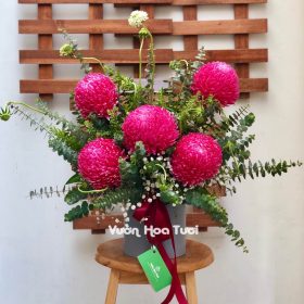 Hộp hoa cúc mẫu đơn đỏ