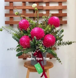 Hộp hoa cúc mẫu đơn đỏ