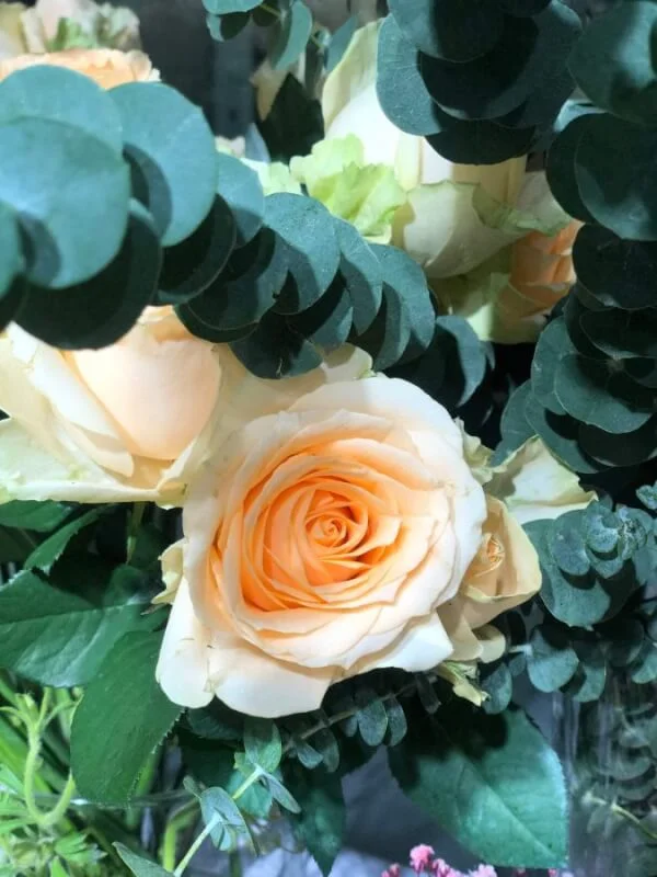 z2933973913592 3a0854bcdfed163e9055c0af51f22815 scaled