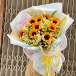 Bó Hoa Hướng Dương Mỏm Sói Tốt Nghiệp