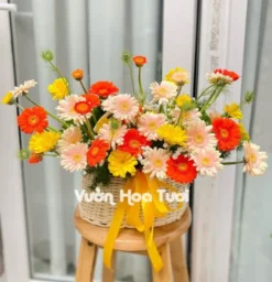 Giỏ Hoa Khai Trương Đồng Tiền Tươi Mới