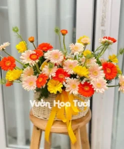 Giỏ Hoa Khai Trương Đồng Tiền Tươi Mới