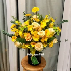 Hộp hoa lan Mokara chúc mừng khai trương