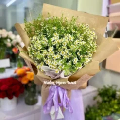 Bó Hoa Tana Đồng Tiền