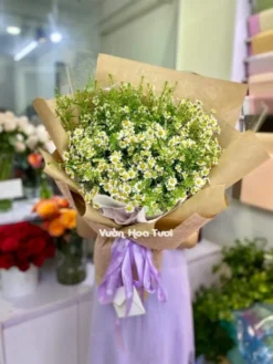 Bó Hoa Tana Đồng Tiền